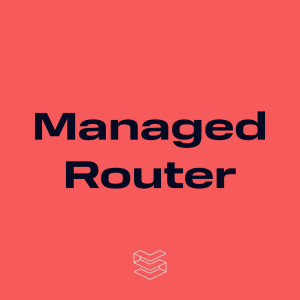 Stapel Managed Router Up to 1 GB Througput