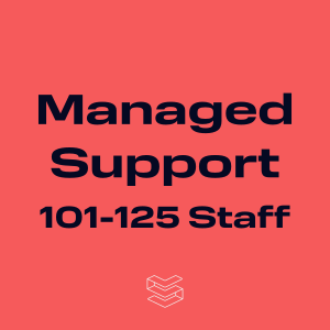 Stapel Managed Support services for 101-125 Staff