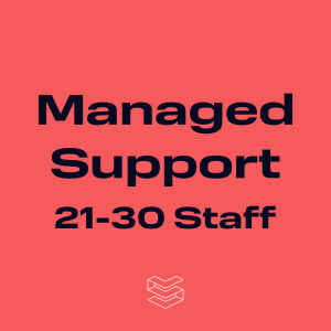 Stapel Managed Support Services for 21-30 Staff