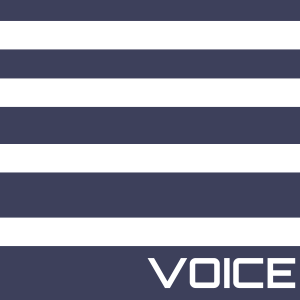 Hosted Voice Over IP (VoIP) Conference Line