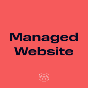 Website Monthly Management - Basic